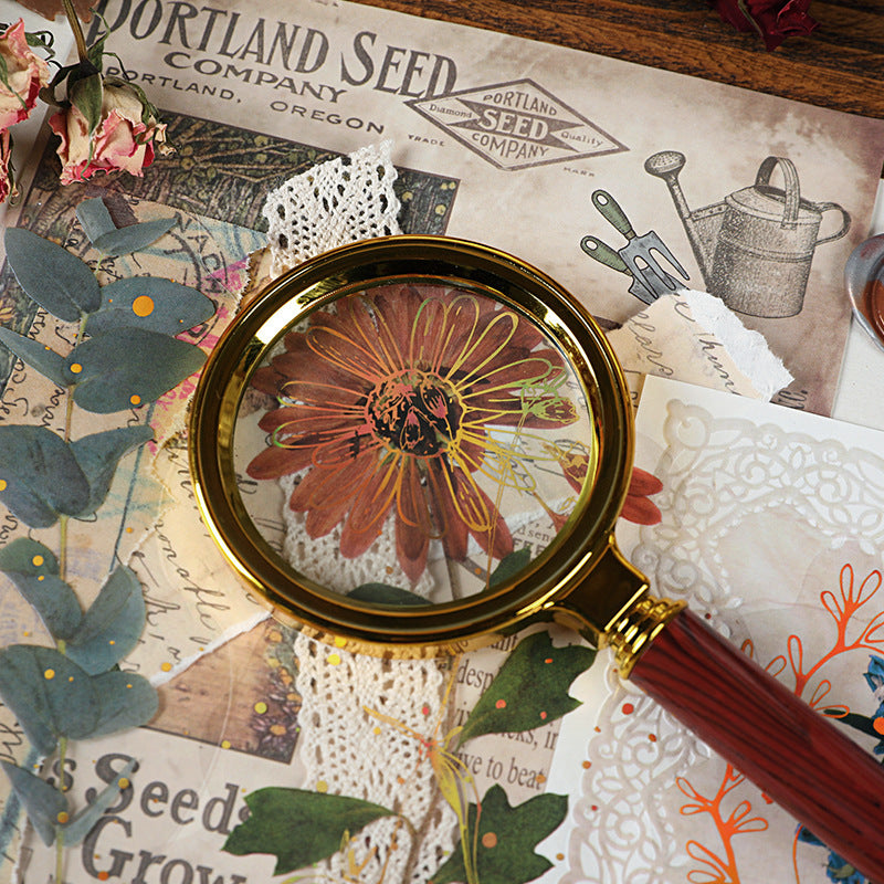 8 Sheets Nature Plant Clip Art for Diaries & Notebooks