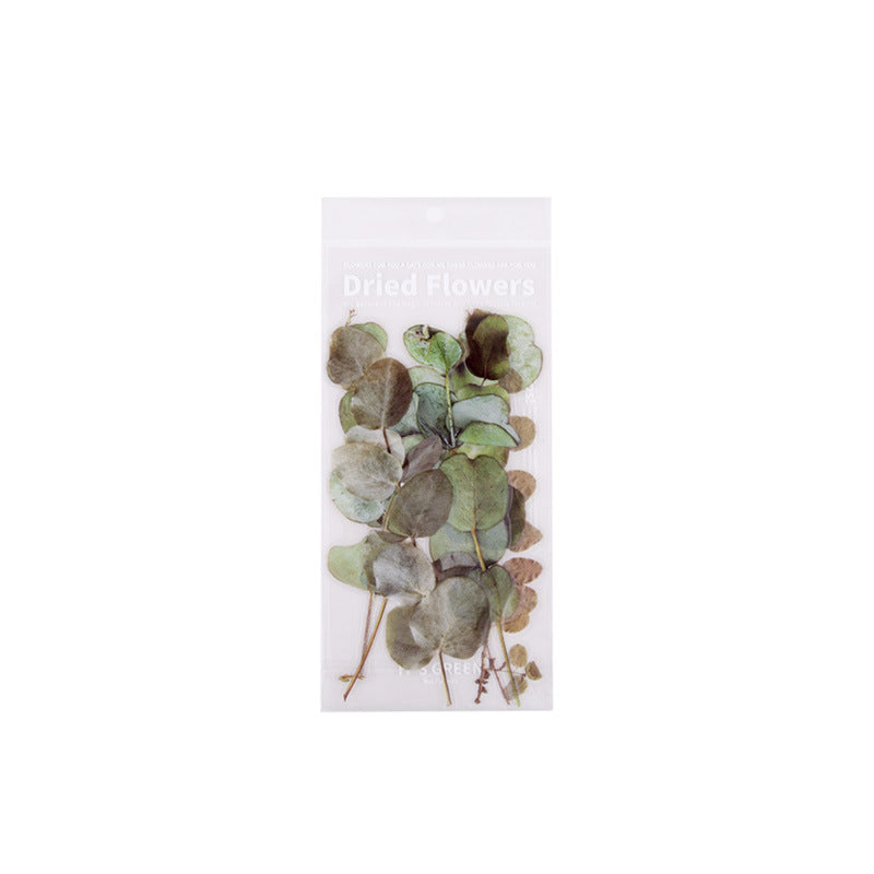 Weekend Floral Series PET Stickers for DIY Journals (6 pcs)