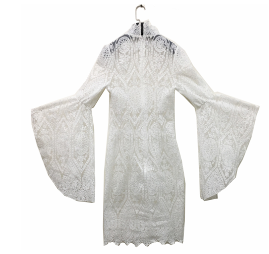 Lace Crochet Dress with Sheer Lace Details