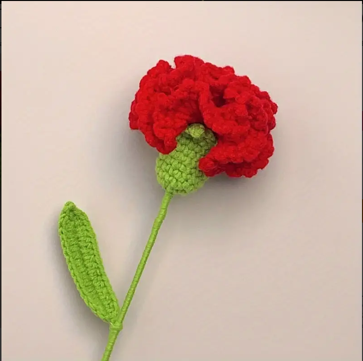 Handmade Crochet Carnation and Rose Bouquet for Loved Ones