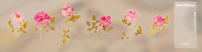 Weekend Floral Series PET Stickers for DIY Journals (6 pcs)