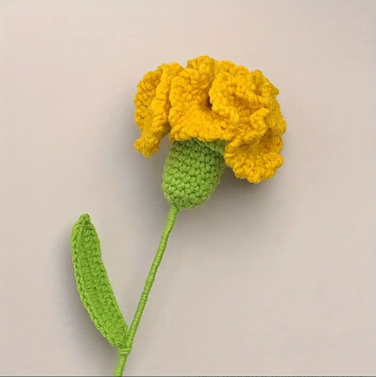 Handmade Crochet Carnation and Rose Bouquet for Loved Ones