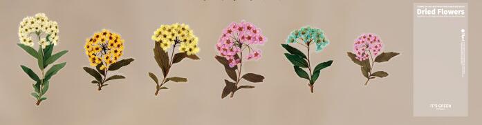 Weekend Floral Series PET Stickers for DIY Journals (6 pcs)