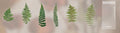Weekend Floral Series PET Stickers for DIY Journals (6 pcs)