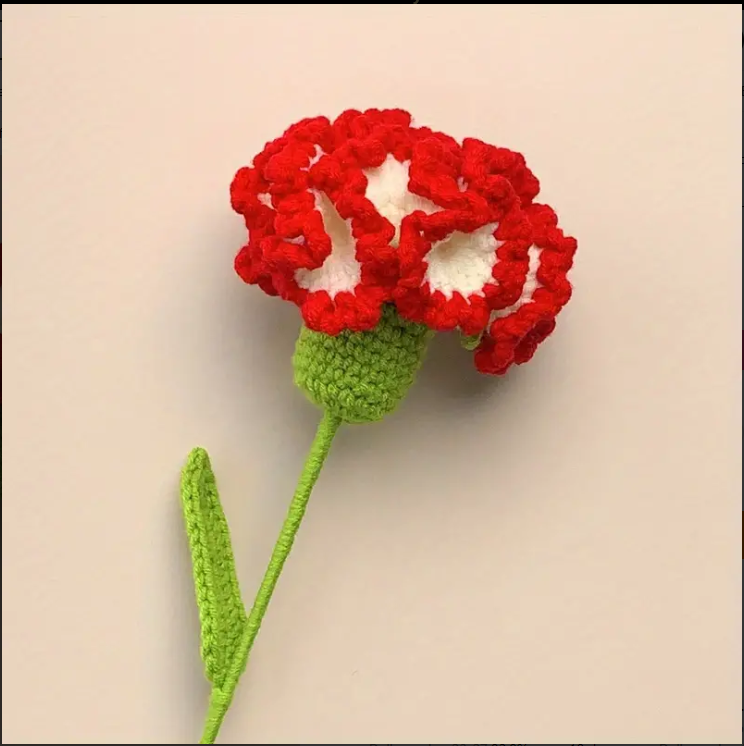 Handmade Crochet Carnation and Rose Bouquet for Loved Ones
