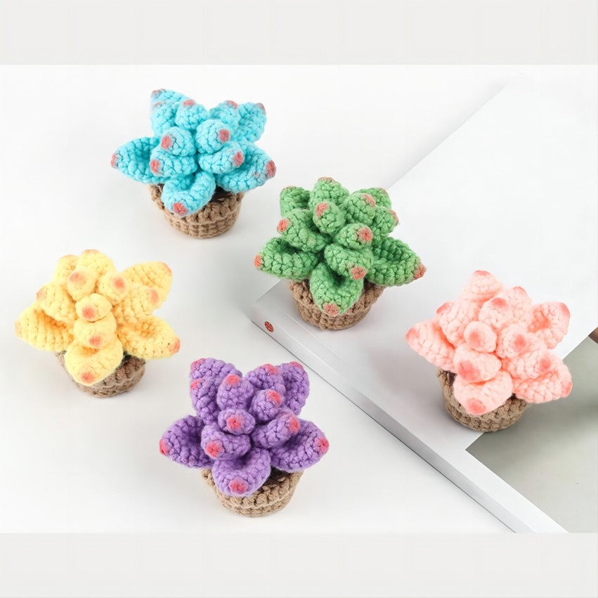 DIY Succulent Plant Kit - Handmade Crochet Materials