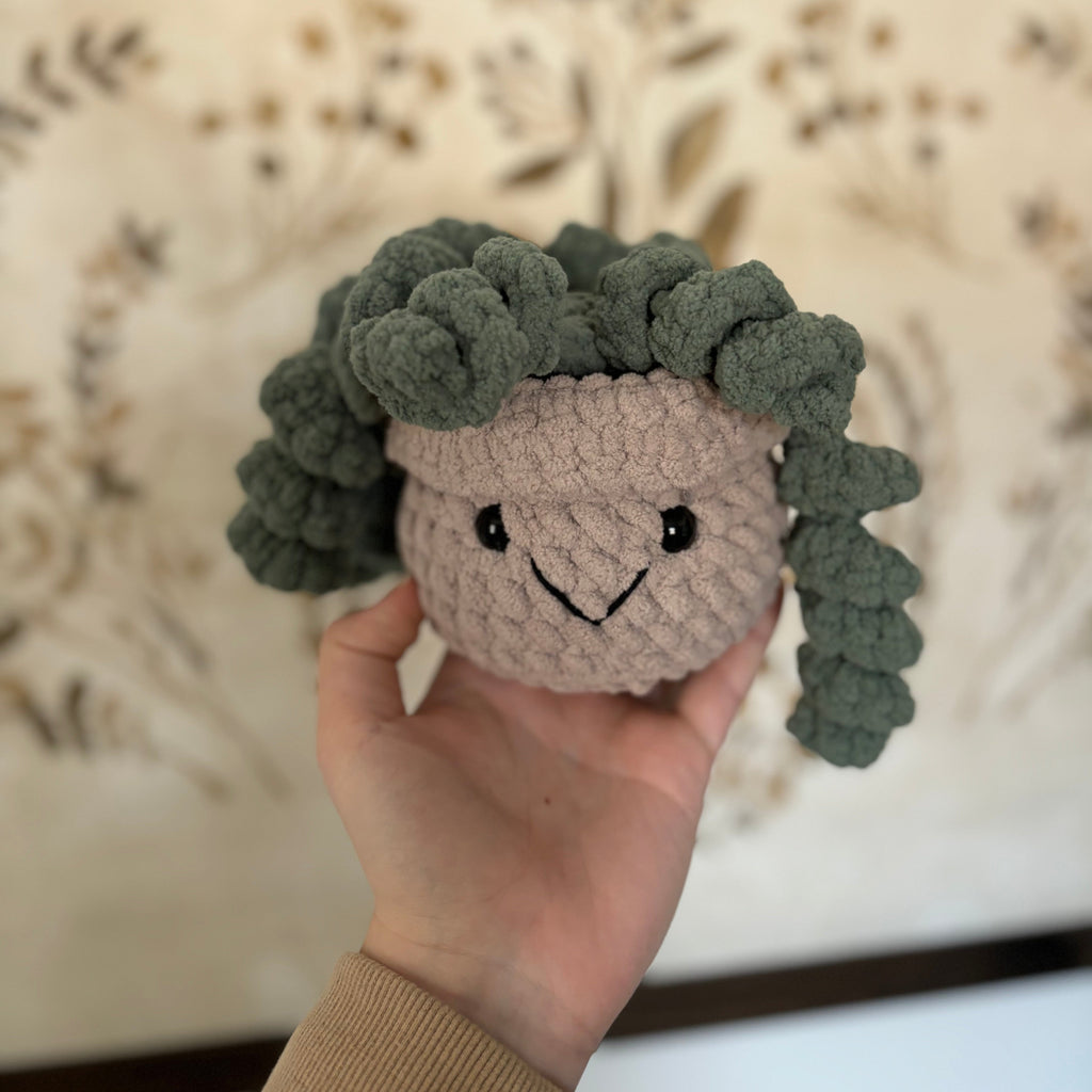 Crocheted Plants