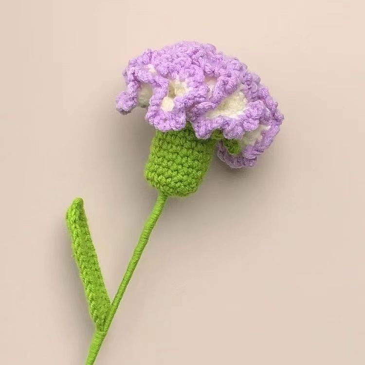 Handmade Crochet Carnation and Rose Bouquet for Loved Ones