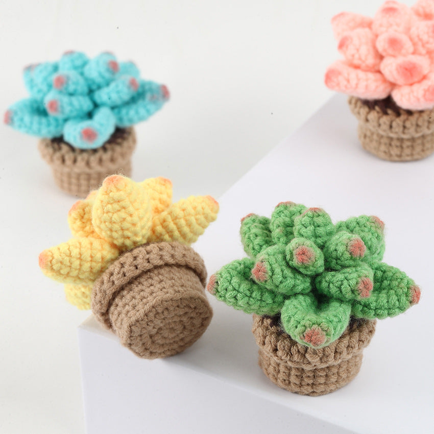 DIY Succulent Plant Kit - Handmade Crochet Materials