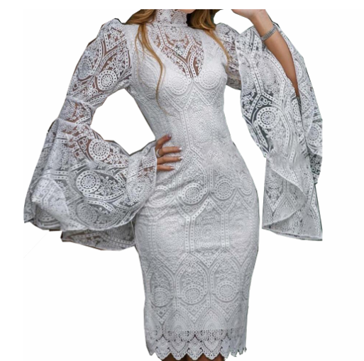 Lace Crochet Dress with Sheer Lace Details