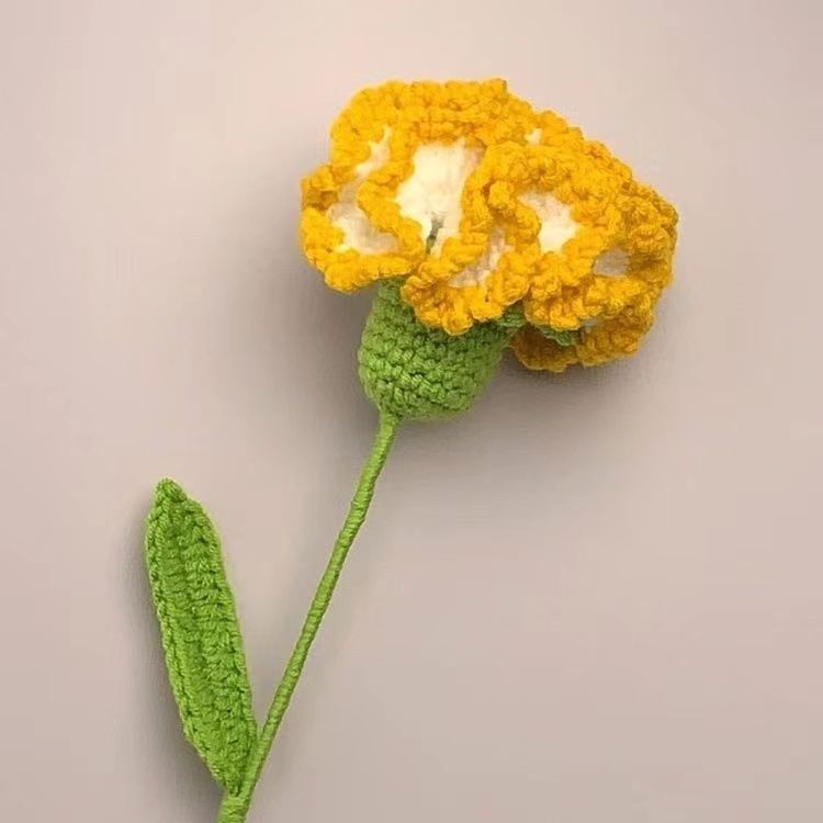 Handmade Crochet Carnation and Rose Bouquet for Loved Ones