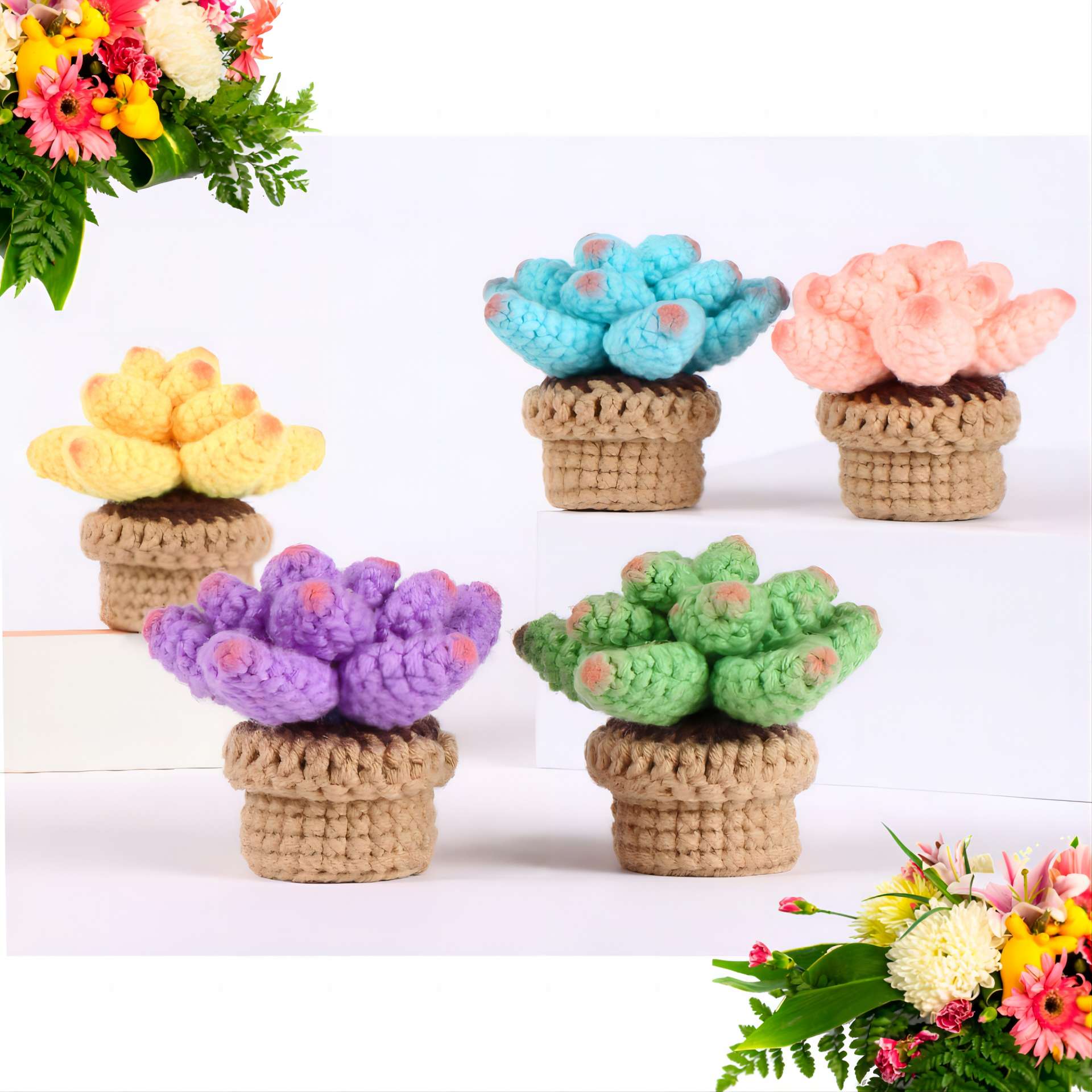 DIY Succulent Plant Kit - Handmade Crochet Materials